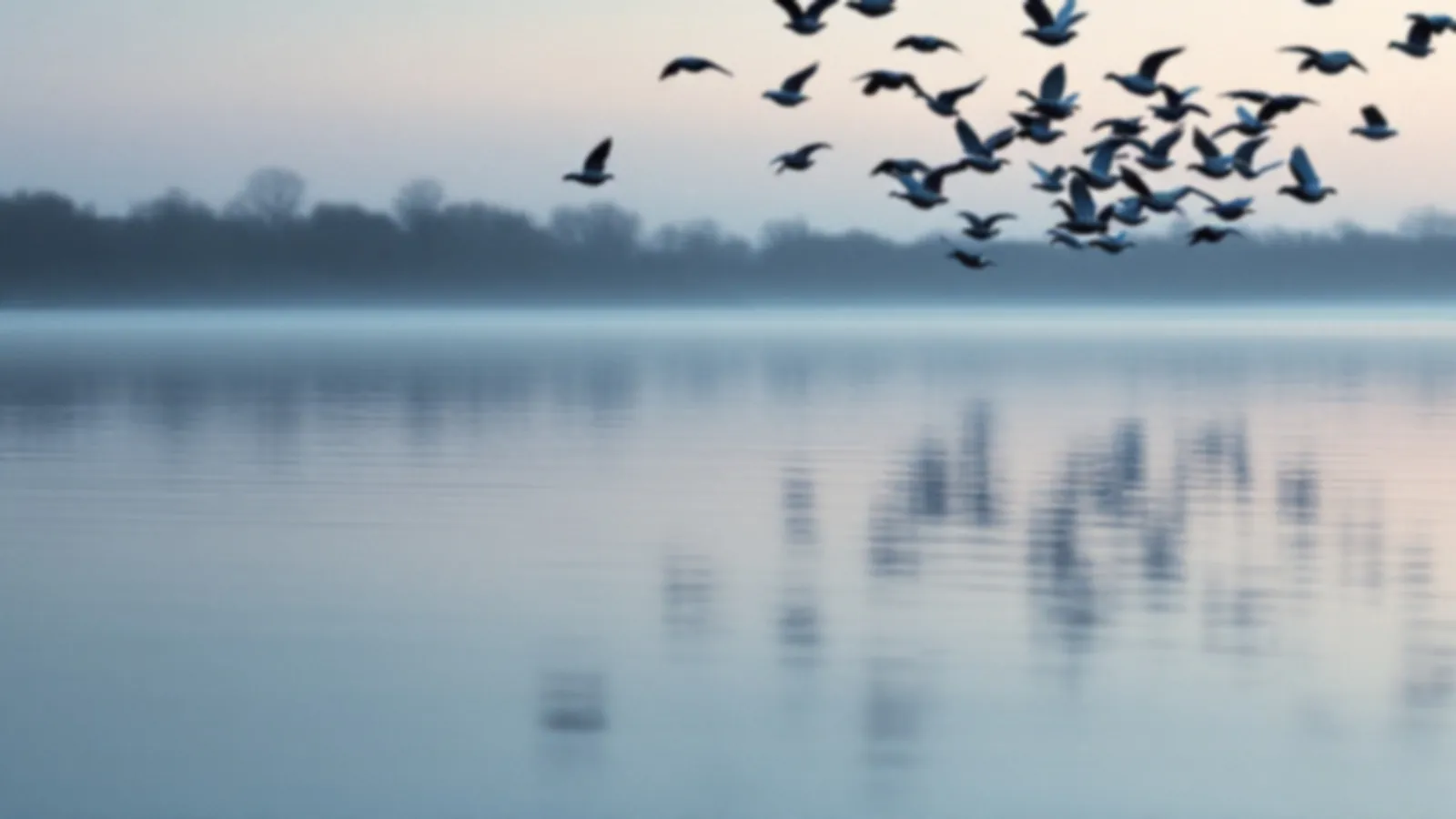 Calm lake under a soft pastel dawn sky, the VectorAria view of cash advance online, $100 – $5,000